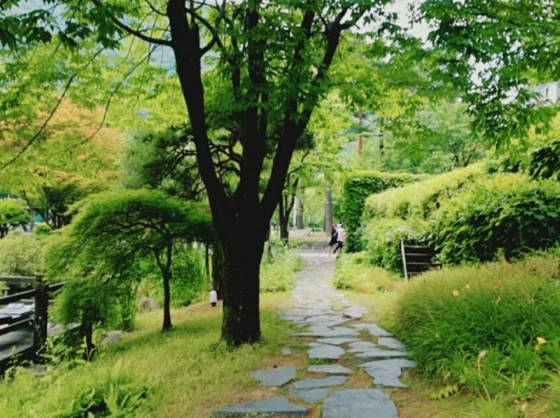 비전센터 가평 (교원연수원) 사진 7