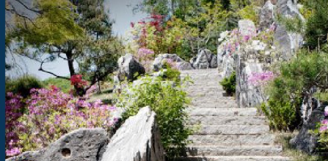 문경STX리조트 사진 12